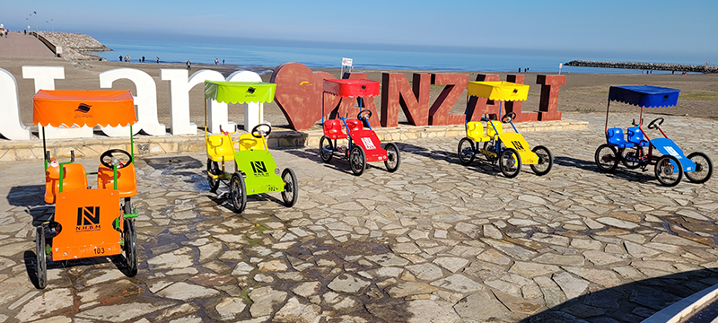 منطقه آزاد انزلی